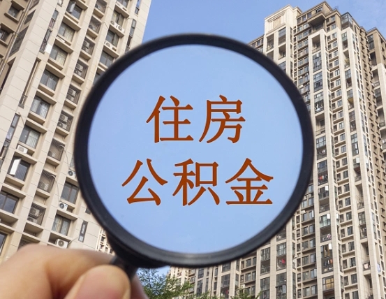 梁山公积金离职证明（梁山公积金离职证明范本）